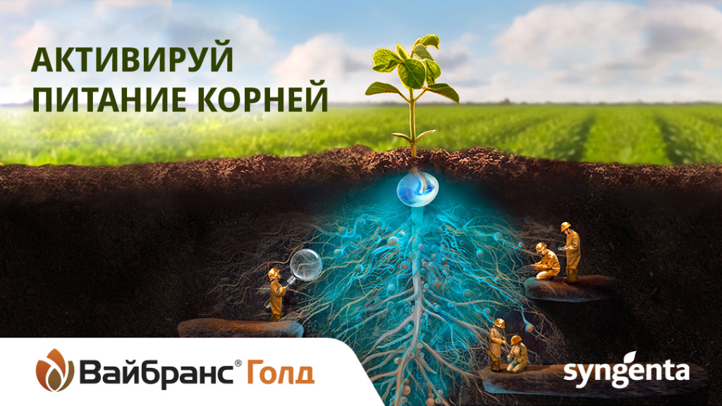 Активируй питание корней Активируй питание корней