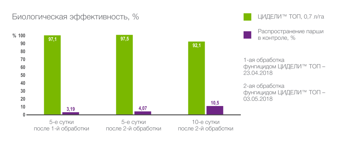 Биологическая эффективность фунгицида ЦИДЕЛИ ТОП, ДК против парши яблони в обработках в фенофазу «плодлещина» (обработки 17.05 и 25.05) в Краснодарском крае, % АО ОПХ «Центральное», г. Краснодар, Сорт Чемпион, 2018 г.