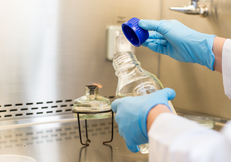 Фитоэкспертиза почвы, фото