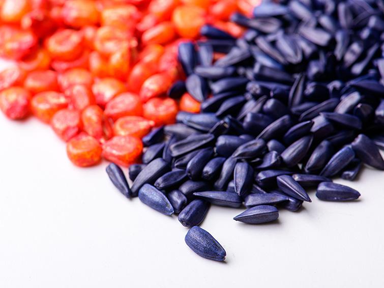 Патронаж, фото